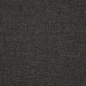 Essential Coal