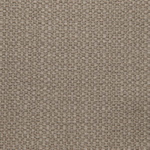Action Taupe