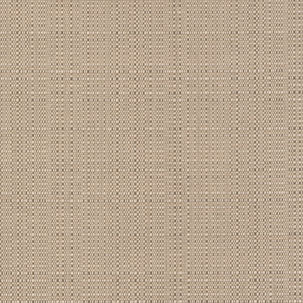 Linen Champagne